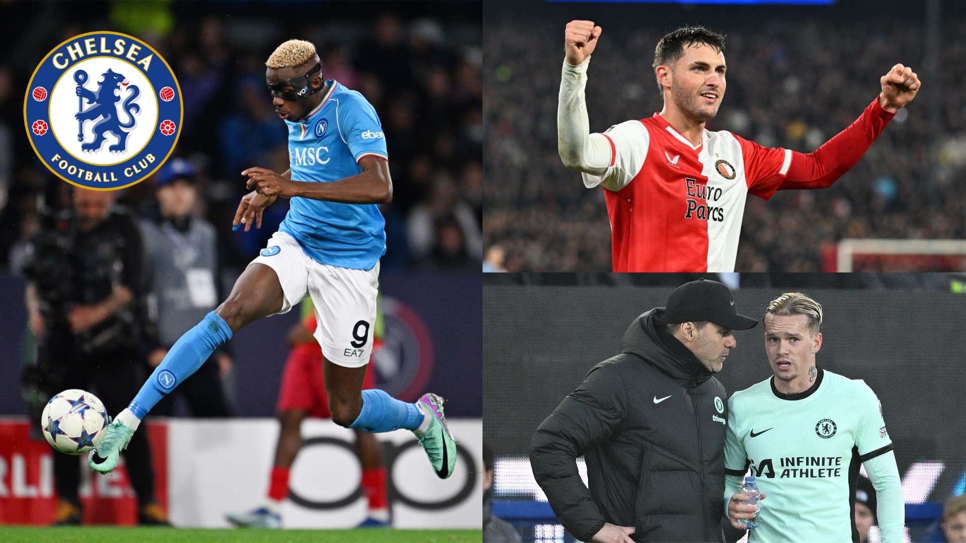 通人参与 通人参与