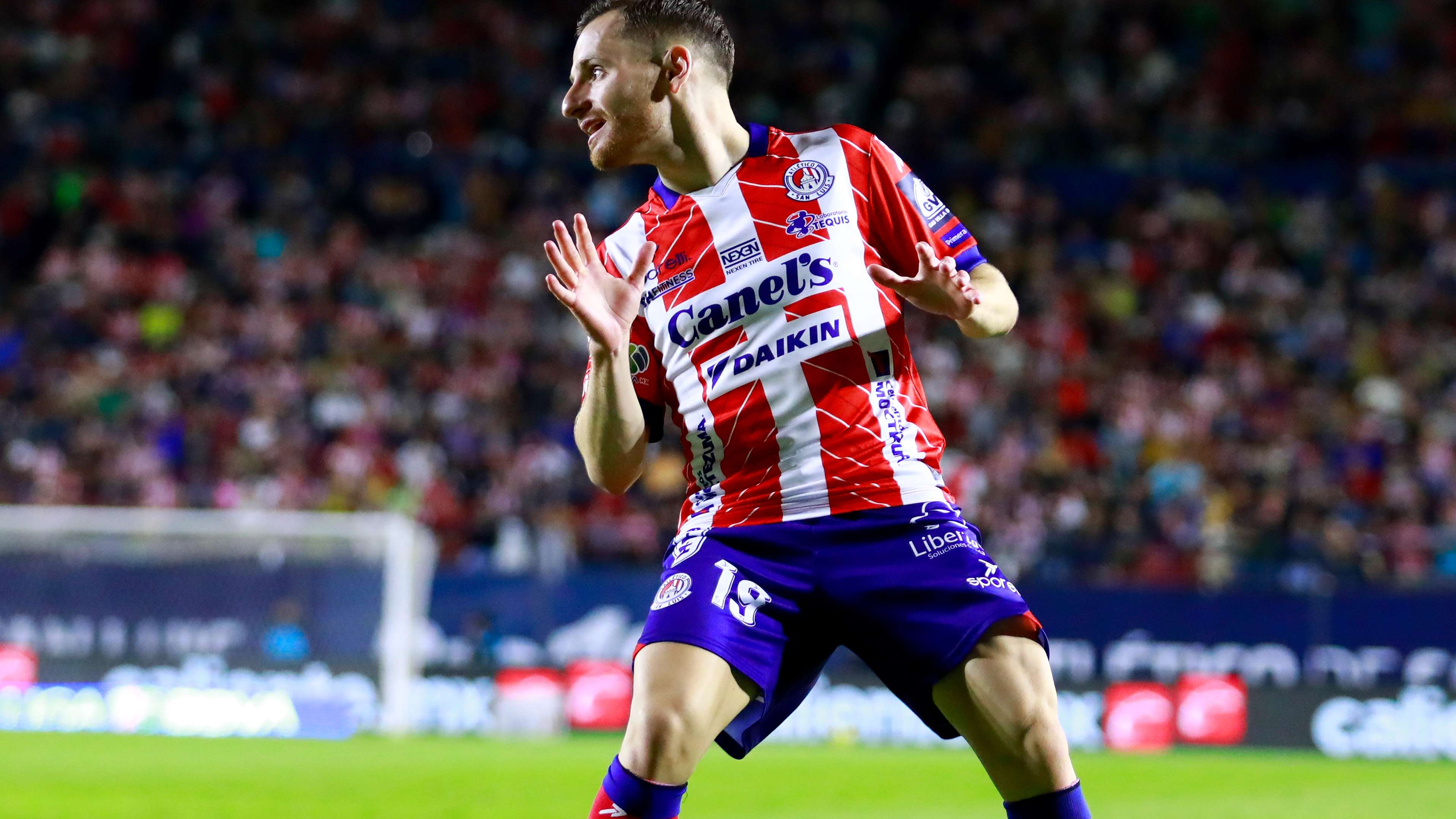 家队生涯 家队生涯