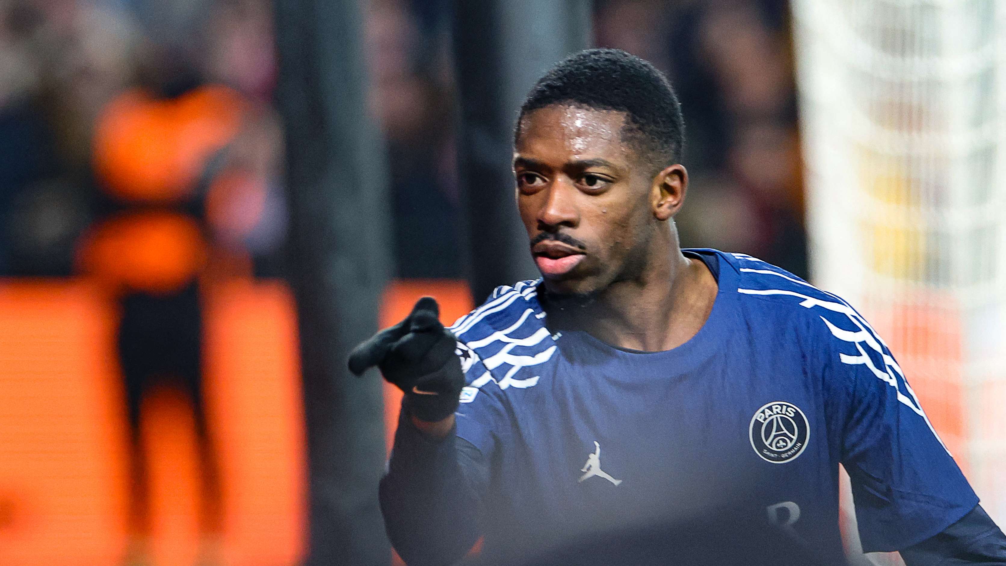 引进的重磅 引进的重磅