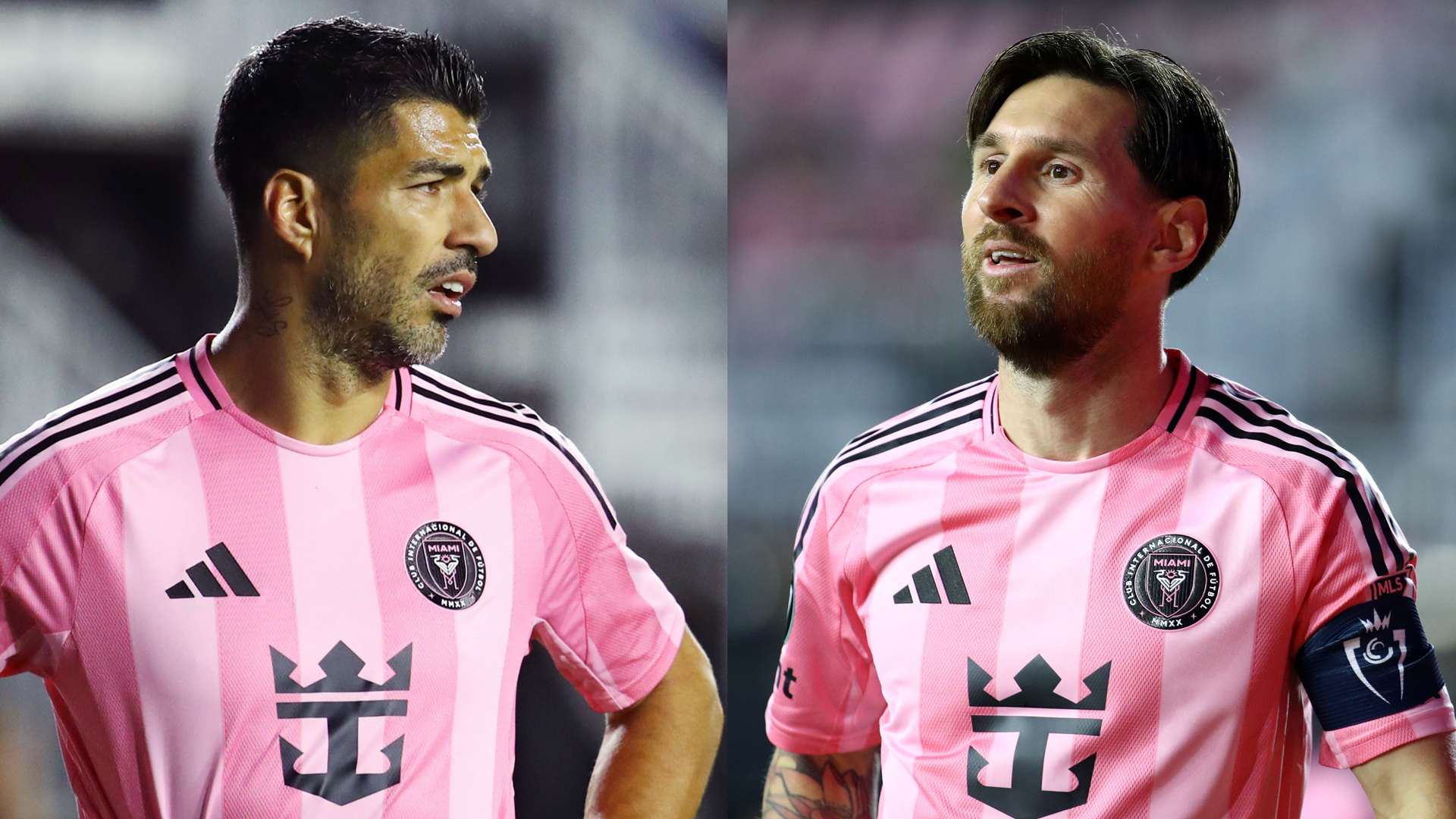 球的认知 球的认知