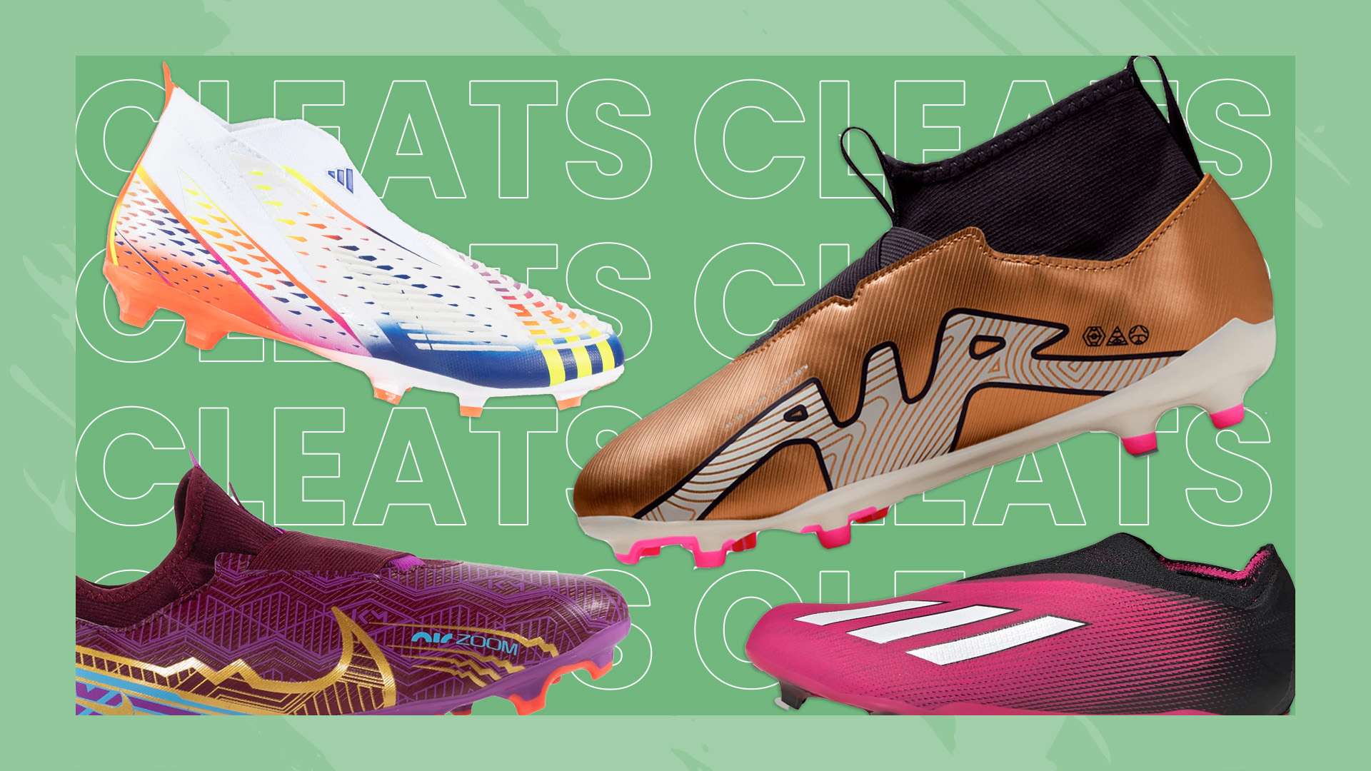 员在本届中 员在本届中